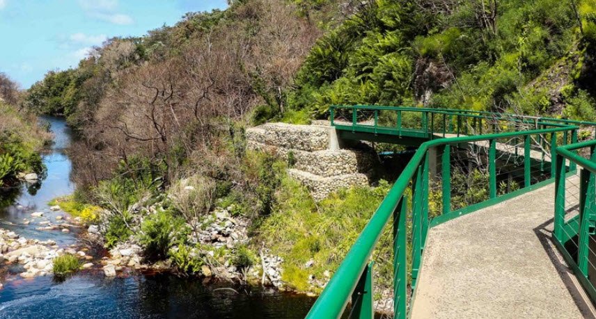 Harold Porter National Botanical Gardens, Betty's Bay, South Africa, South Africa